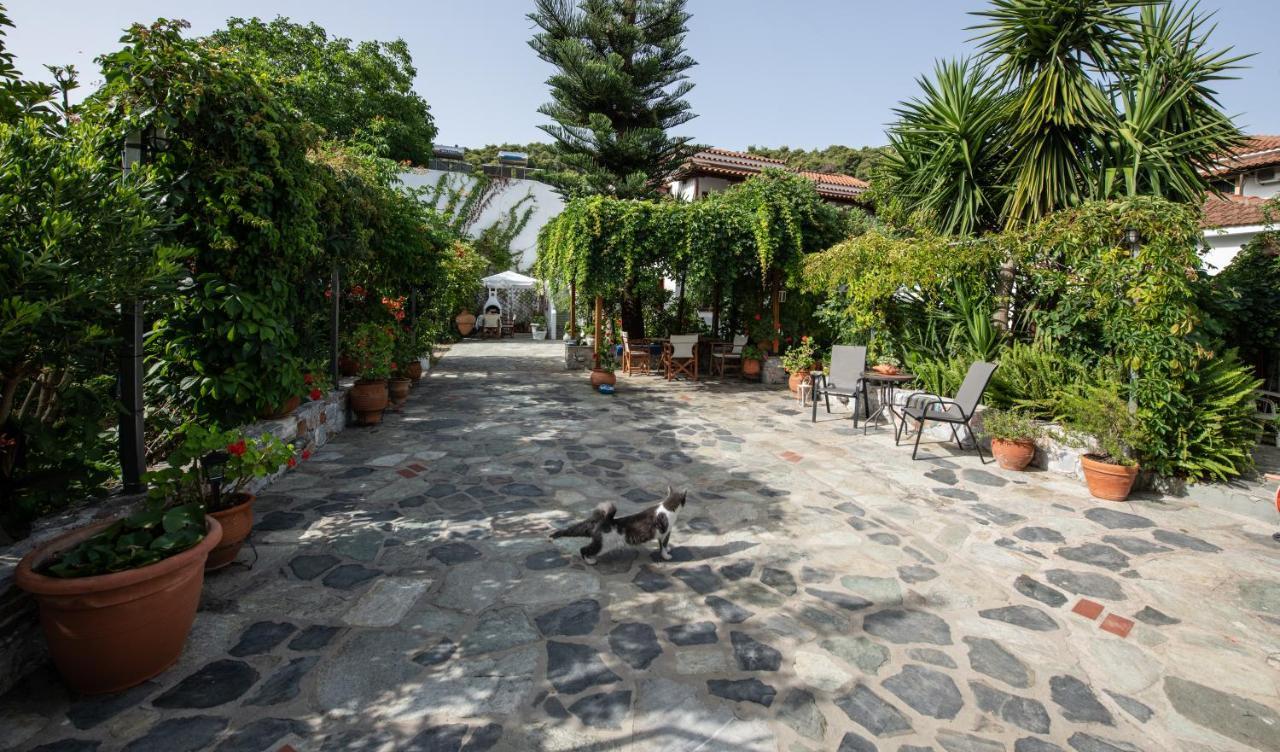 Katikies Stamatias Studios & Maisonettes Agnontas Buitenkant foto