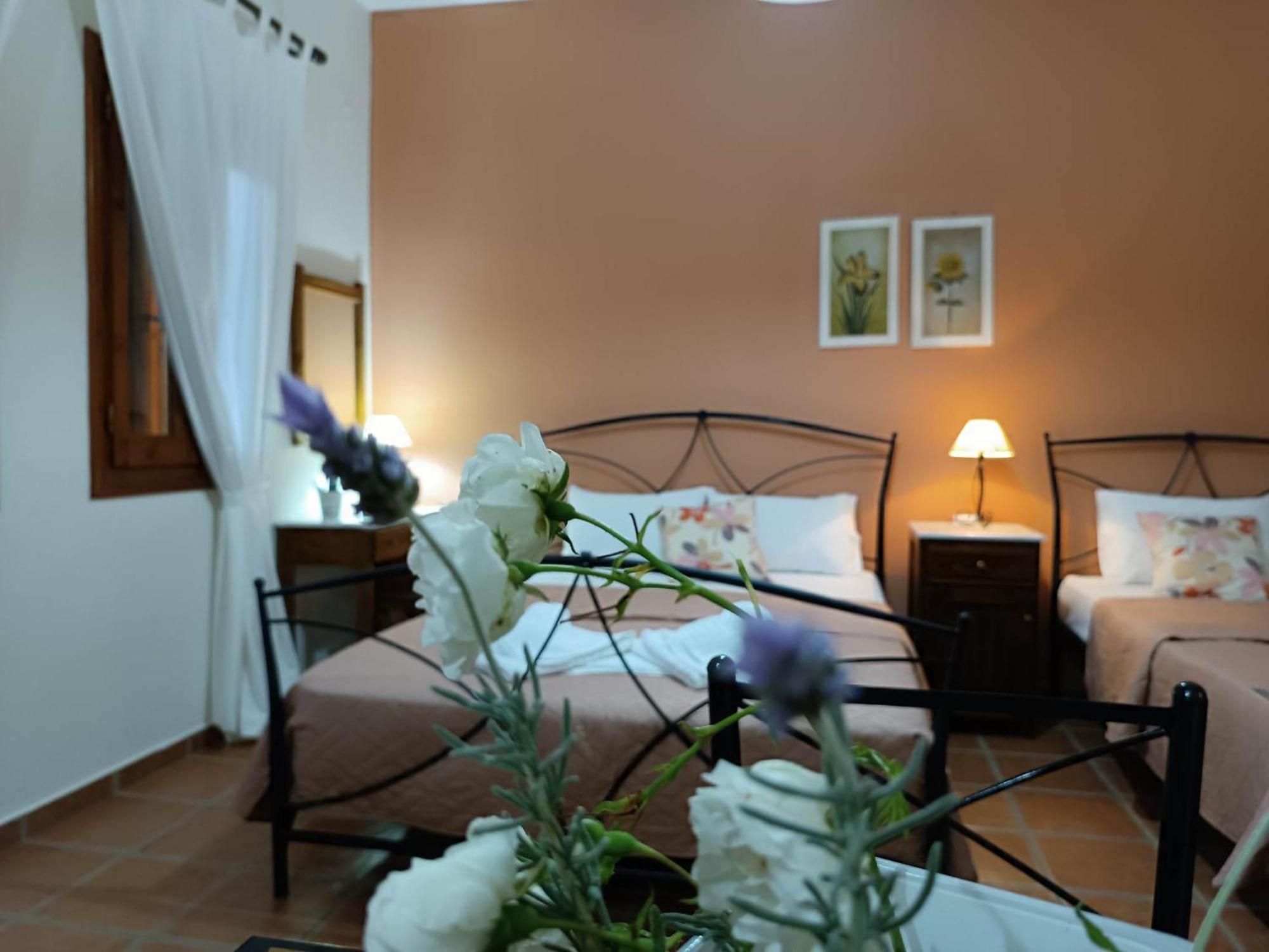 Katikies Stamatias Studios & Maisonettes Agnontas Buitenkant foto